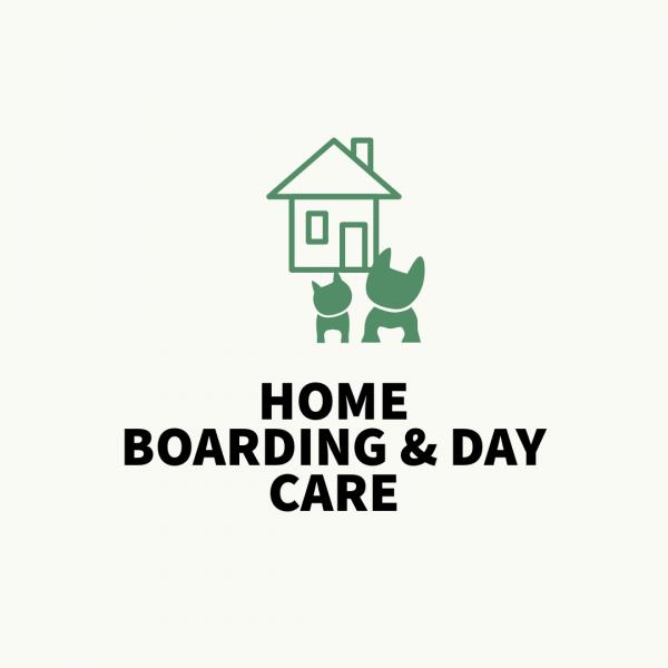 dog business home boarding and day care