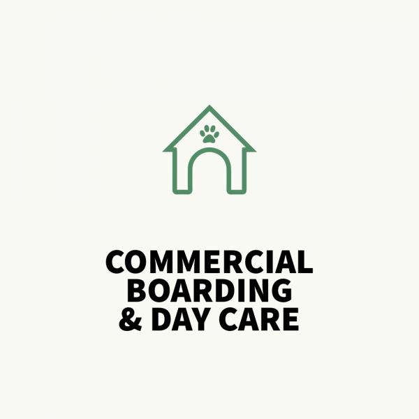 dog business commercial boarding and day care
