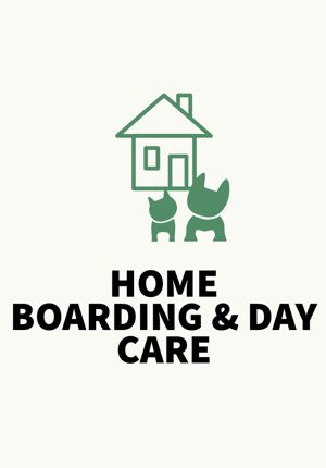 Dog Business home boarding and day care